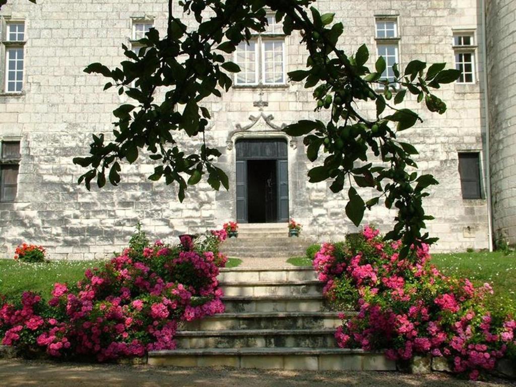 Chambres D'Hotes Chateau De La Motte Usseau  Exterior foto