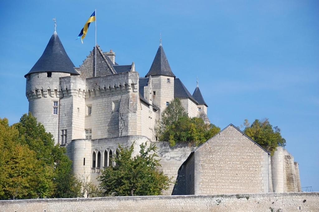 Chambres D'Hotes Chateau De La Motte Usseau  Exterior foto