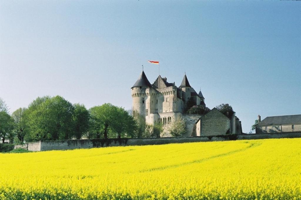 Chambres D'Hotes Chateau De La Motte Usseau  Exterior foto