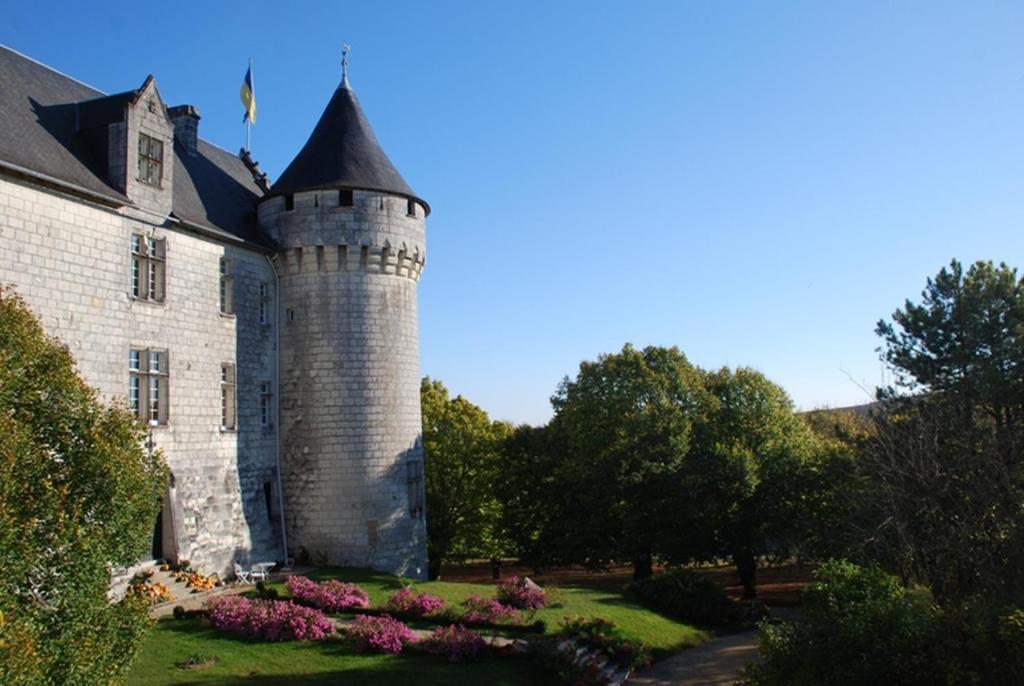 Chambres D'Hotes Chateau De La Motte Usseau  Exterior foto