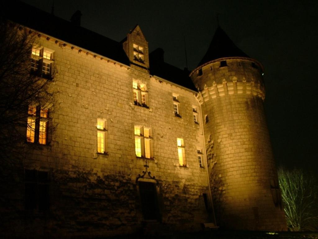 Chambres D'Hotes Chateau De La Motte Usseau  Exterior foto