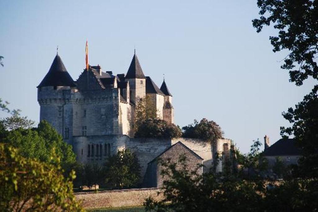 Chambres D'Hotes Chateau De La Motte Usseau  Exterior foto