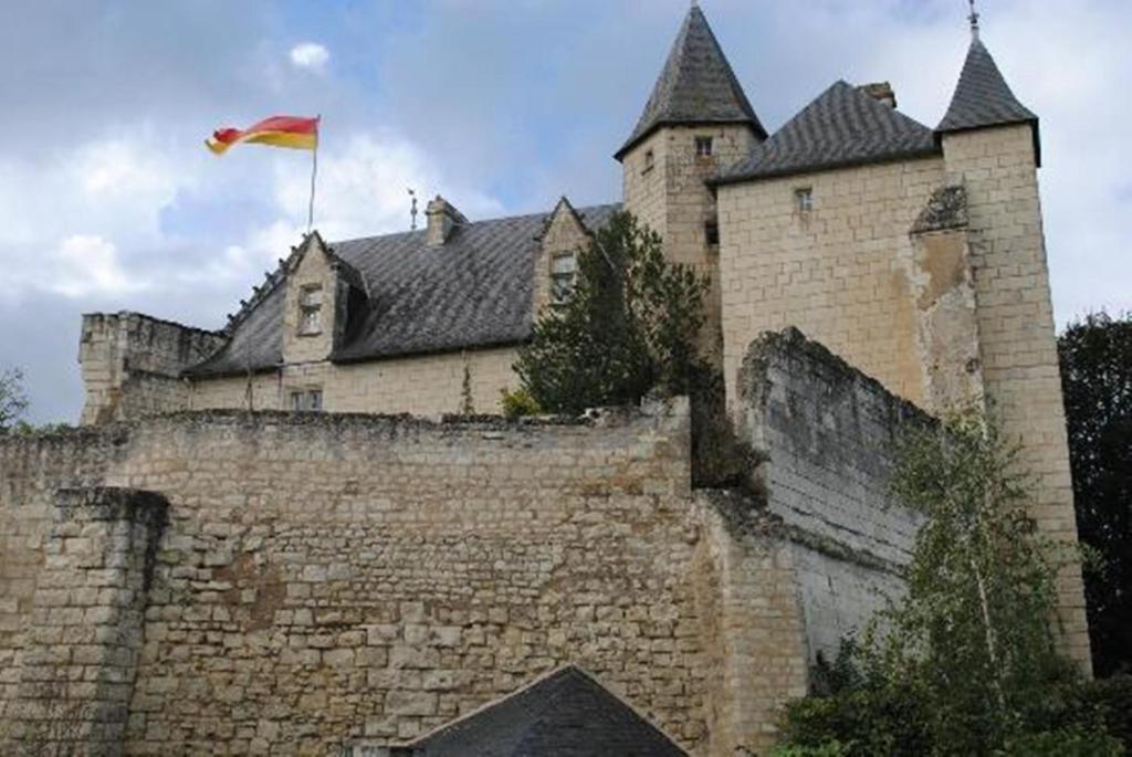 Chambres D'Hotes Chateau De La Motte Usseau  Exterior foto