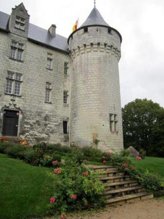 Chambres D'Hotes Chateau De La Motte Usseau  Exterior foto