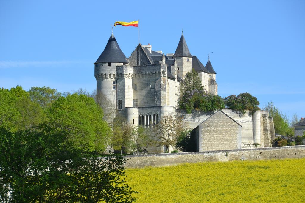 Chambres D'Hotes Chateau De La Motte Usseau  Exterior foto